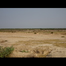 Auch heute fuhren wir durch die breite Ebne des Tonle Sap